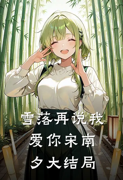 雪落再说我爱你宋南夕大结局