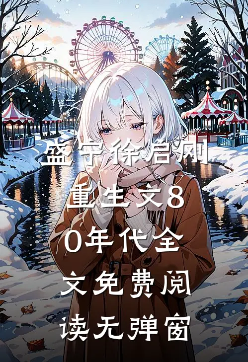 盛宁徐启刚重生文80年代全文免费阅读无弹窗